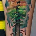 Autumn Aspen Inspired Redwood Tattoo Design Thumbnail